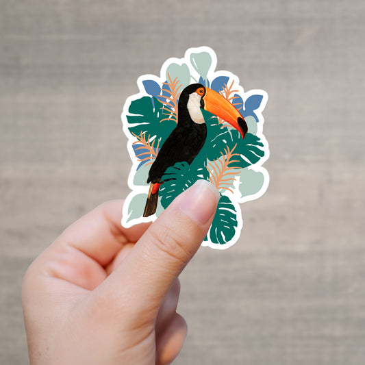 Vintage Toucan Sticker and Tropical Monstera